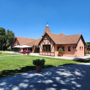 Luxury wine tour at Almaviva, Maipo Chile