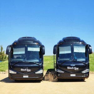 two black buses at Montes winery