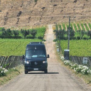 Black sprinter on dirt road at Montes winery