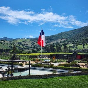 Colchagua Valley view of Apalta's landscape