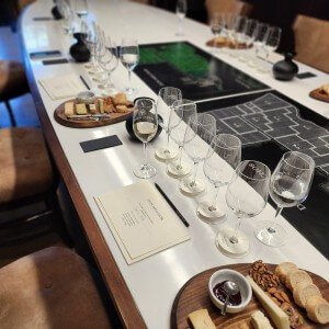 Don Melchor wine tasting in Chile