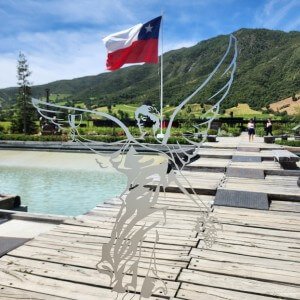 Montes winery, Apalta, Chile
